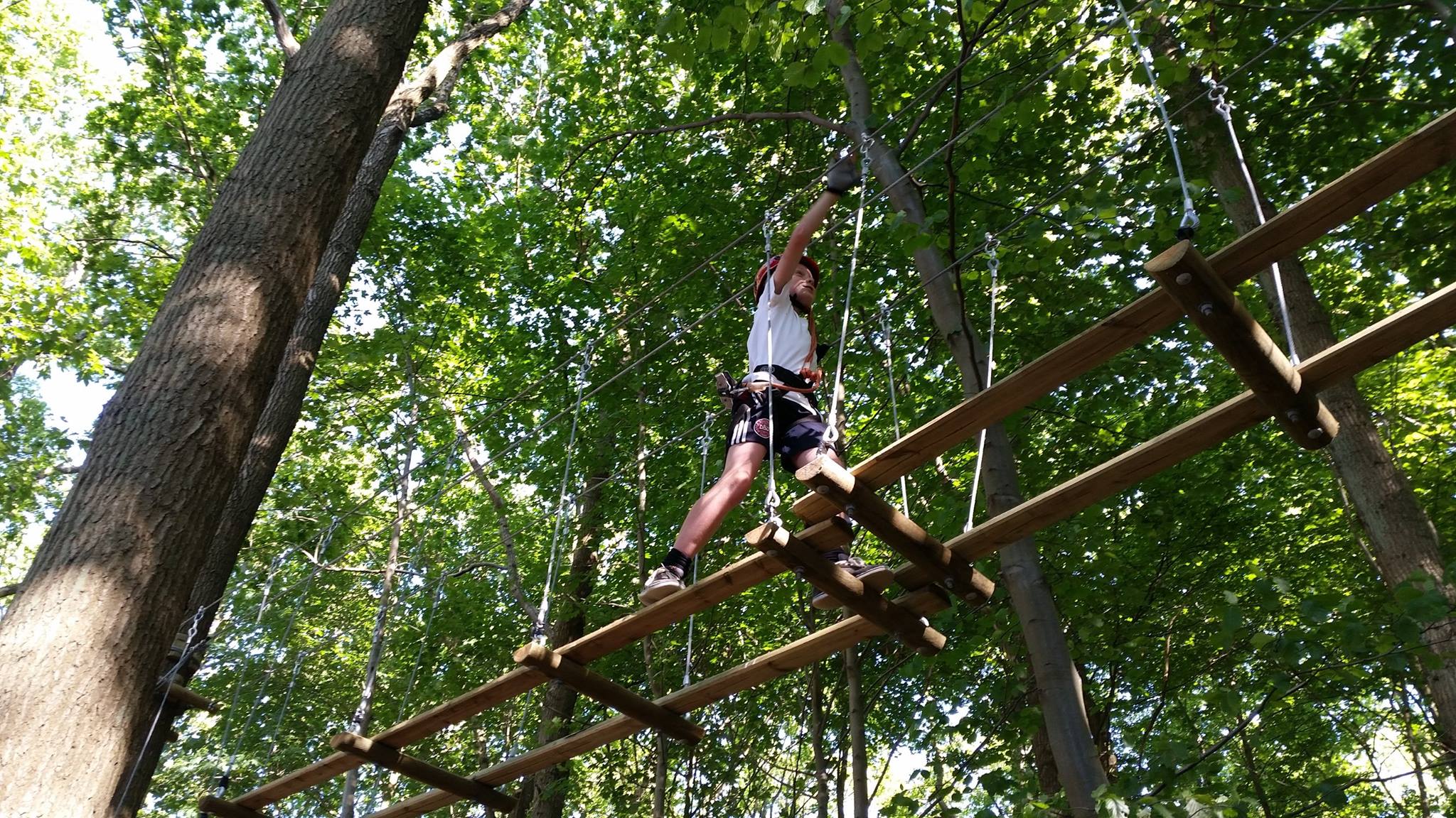 Dreng balancerer på gyngende brædder under bøgeskovens grønne blade